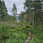 沃夫海特格兰德酒店 Viksdalen