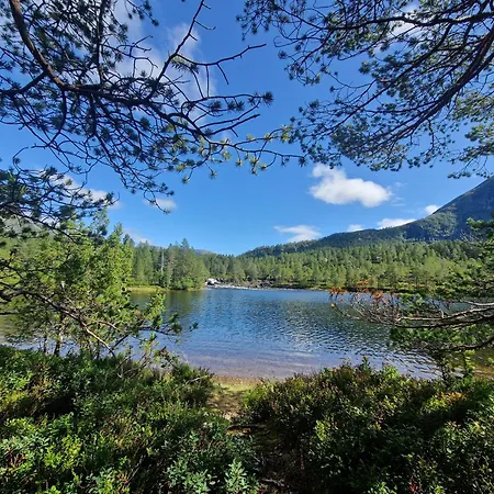 Hov Hyttegrend Domek letniskowy *