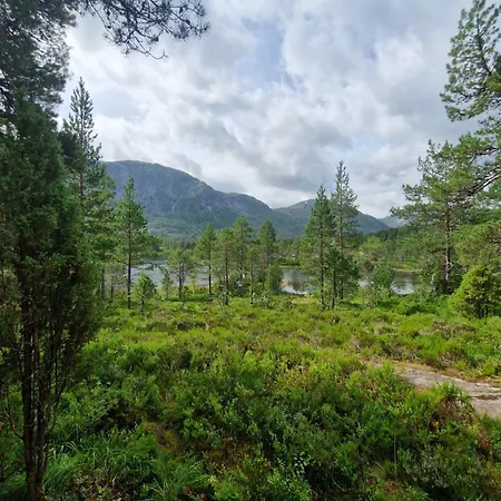 Hov Hyttegrend Viksdalen