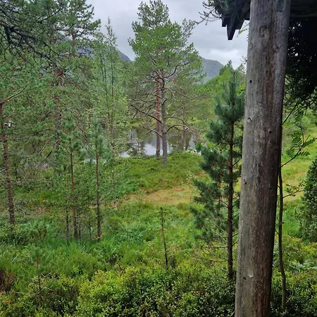 Деревянный коттедж Hov Hyttegrend Viksdalen